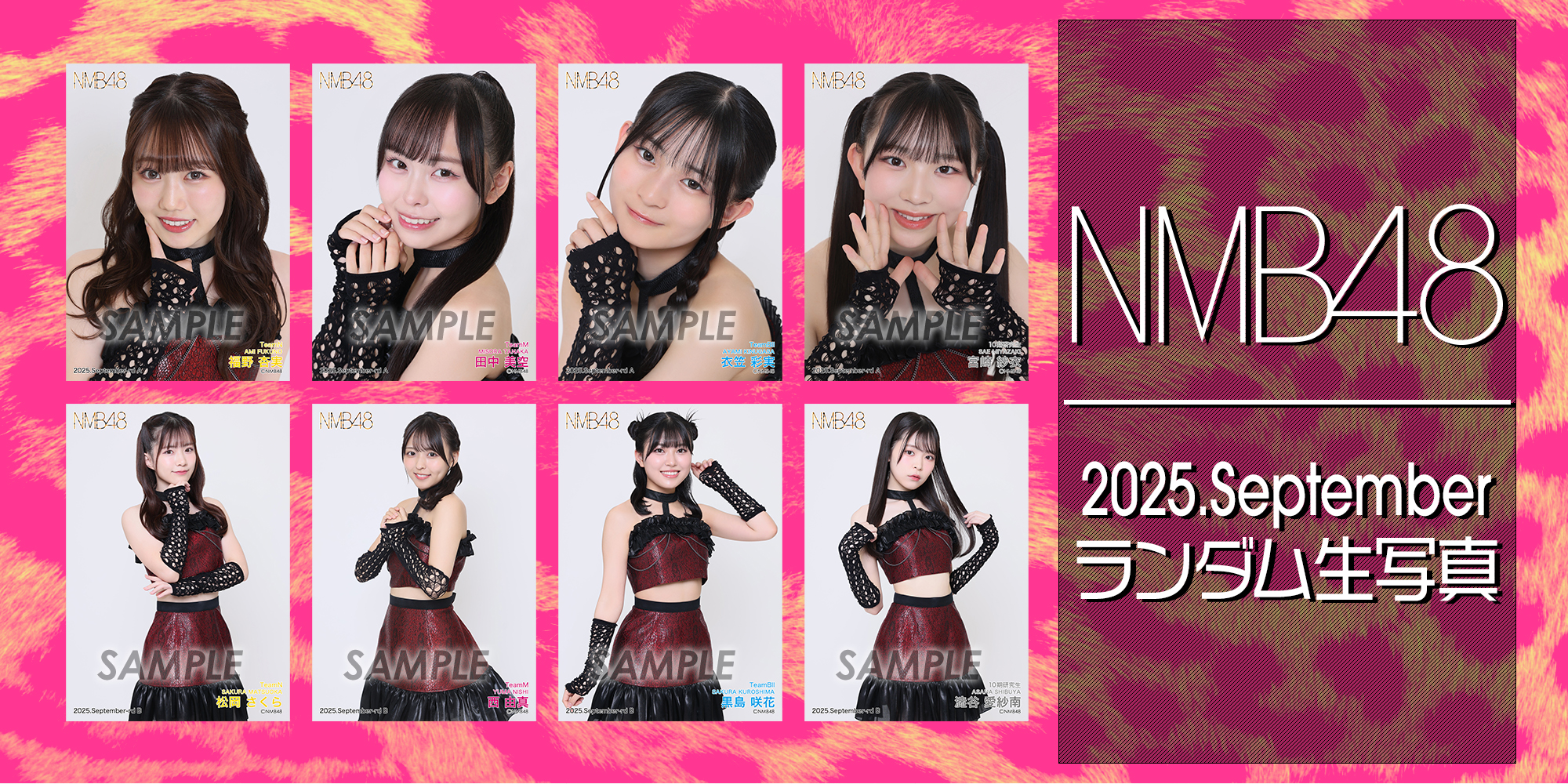 2025年9月度 ランダム生写真