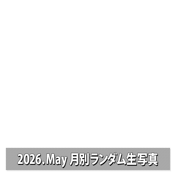 NMB48 OFFICIAL GOODS STORE