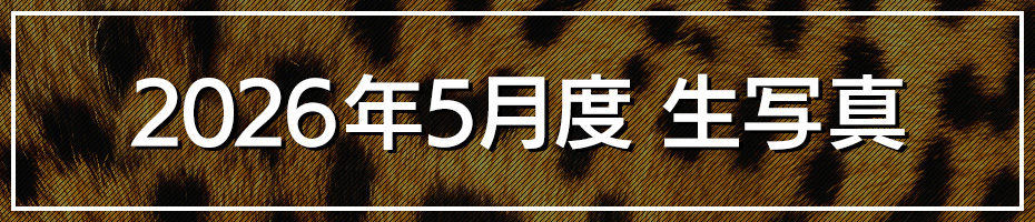 2026年5月 生写真