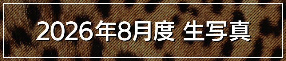 2026年8月 生写真