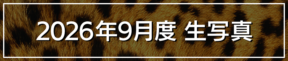 2026年9月 生写真