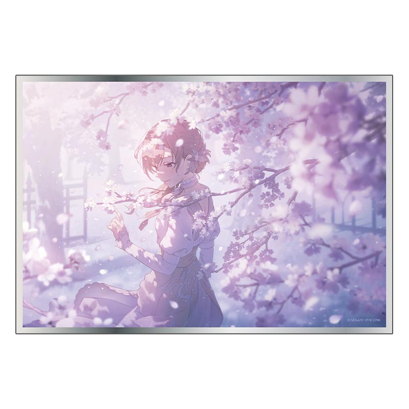 アクリル色紙 MEIKO C