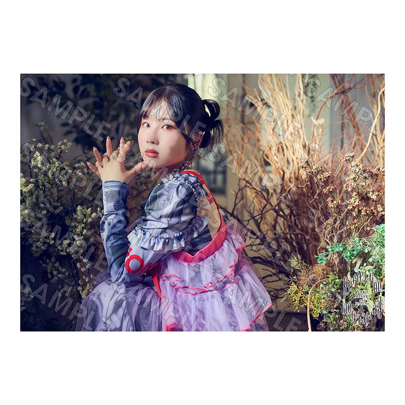 クリアポスターセット - Misaki Nako LIVE GOODS STORE