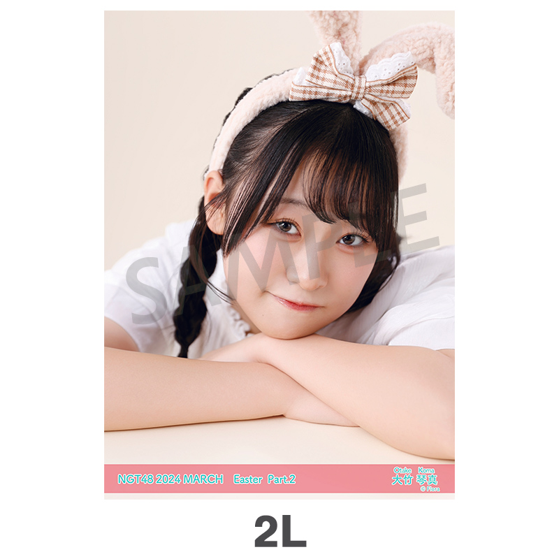 NGT48 ヴィレッジヴァンガード クリスマス 生写真 2種コンプ 検)福袋