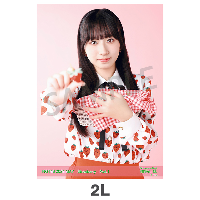 NGT48 関野山凪 クリアカードセット、ステッカー3枚 2024年5月度 個別生写真5枚セット Vol.1/Part1 関野山凪【2L判