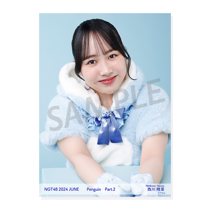 2024年6月度 個別生写真5枚セット Vol.1/Part2 西川晴菜【L判サイズ