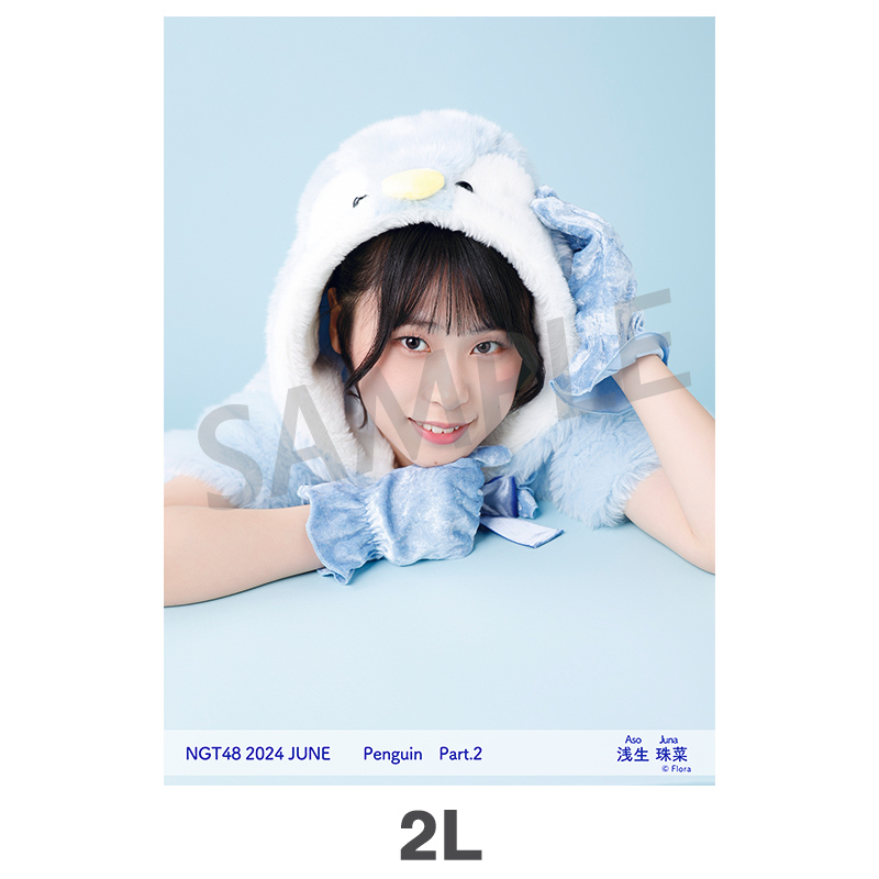 NGT48 生写真 セット 約300枚 Amazon.co.jp: 【小見山沙空】 公式生写真 NGT48 世界の人へ