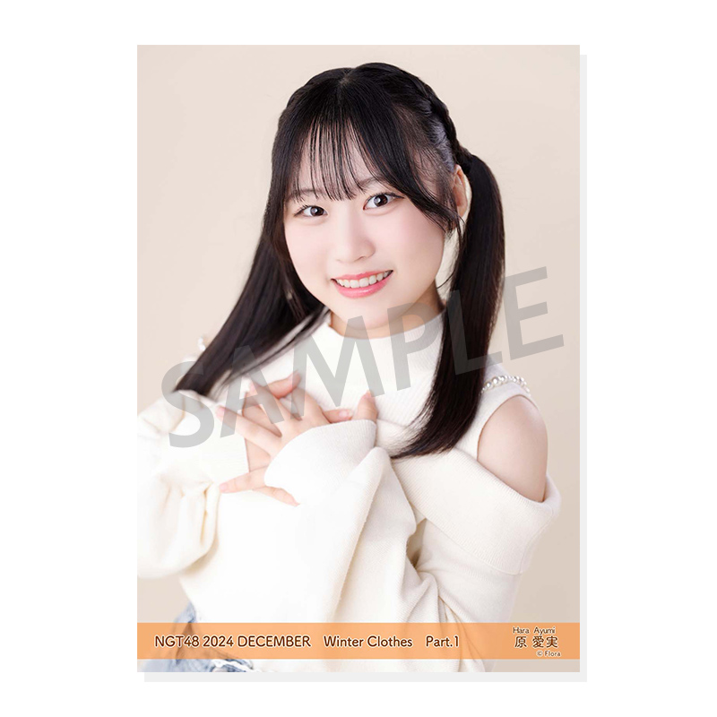 NGT48 吉原愛里衣 月別生写真320枚まとめ売りセット NGT48 吉原愛里衣 月別生写真320枚まとめ売りセット NGT48 吉原愛里衣