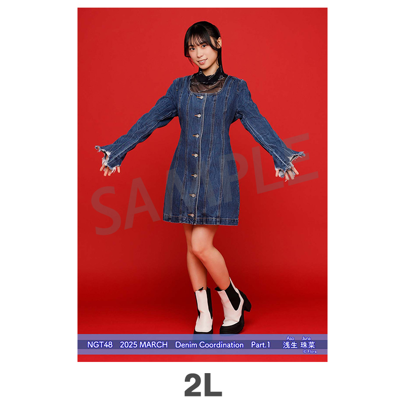 NGT48 生写真 セット 約300枚 NGT48 生写真 セット 約300枚 NGT48 OFFICIAL GOODS STORE