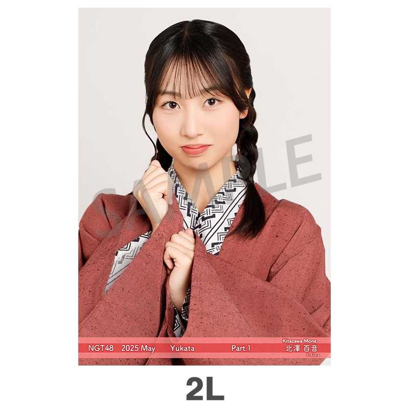 NGT48 生写真 セット 約300枚 2025年6月度 個別生写真5枚セット Vol.2/Part2 辻田季音【L判