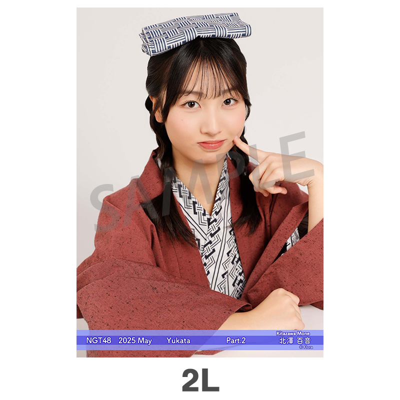 NGT48 生写真 セット 約300枚 2025年5月度 個別生写真5枚セット Vol.2/Part2 辻田季音【2L判