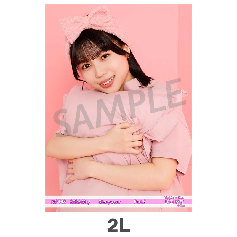 NGT48 生写真 セット 約300枚 2025年5月度 個別生写真5枚セット Vol.2/Part2 辻田季音【2L判