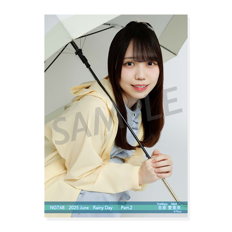 NGT48、AKB48 生写真 約３００枚、他 NGT48 生写真 セット 約300枚 NGT48 生写真 セット 約300枚