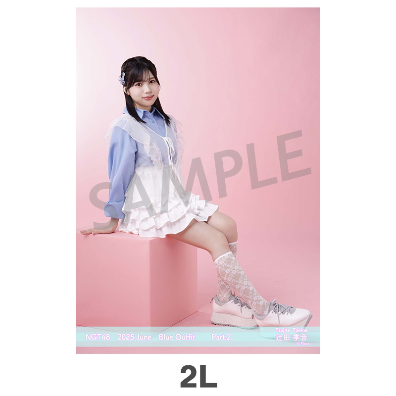 NGT48 生写真 セット 約300枚 2025年6月度 個別生写真5枚セット Vol.2/Part2 辻田季音【2L判