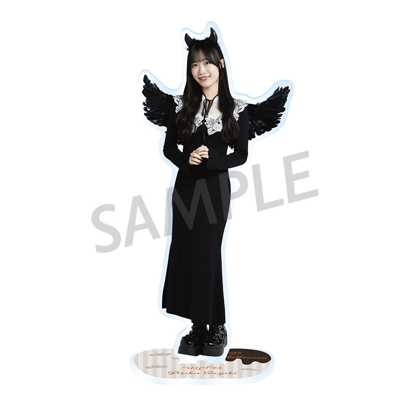 【商品追加】AKB48 SKE NMB SDN NGT STUグッズセット 商品追加】AKB48 SKE NMB SDN NGT STUグッズセット AKB48グッズ