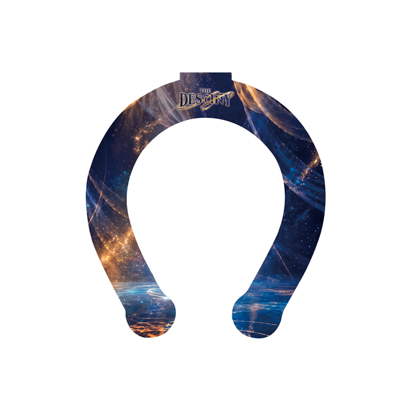 THE DESTINY OFFICIAL GOODS STORE