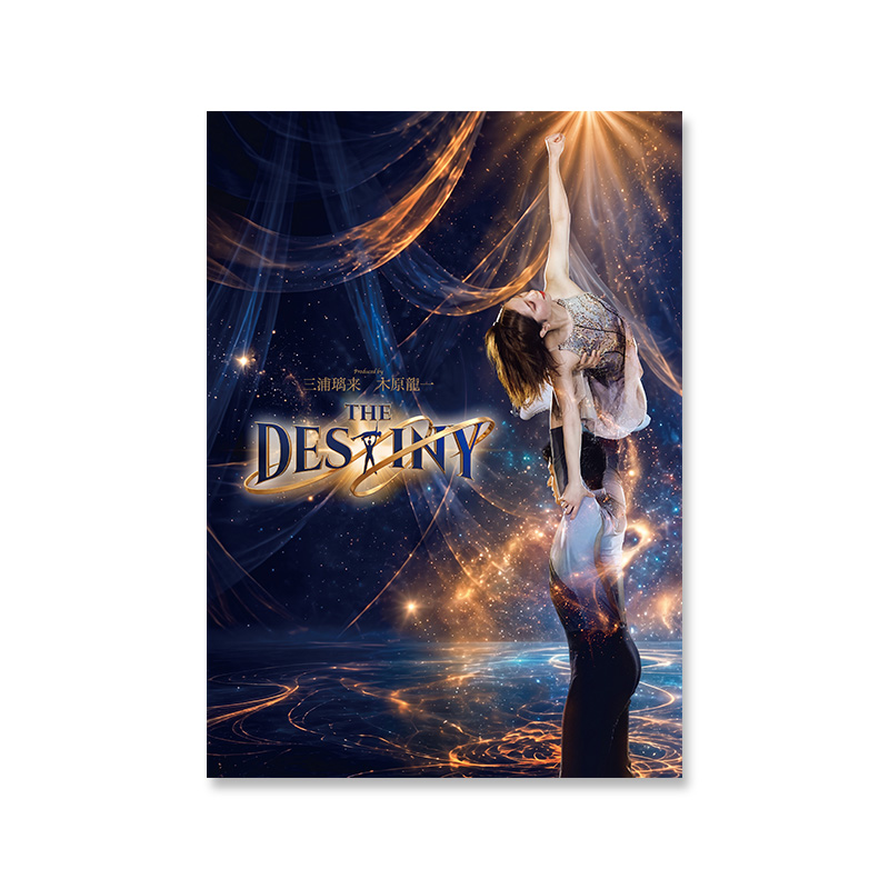 THE DESTINY りくりゅう メインビジュアルTシャツ　XLサイズ THE DESTINY OFFICIAL GOODS STORE