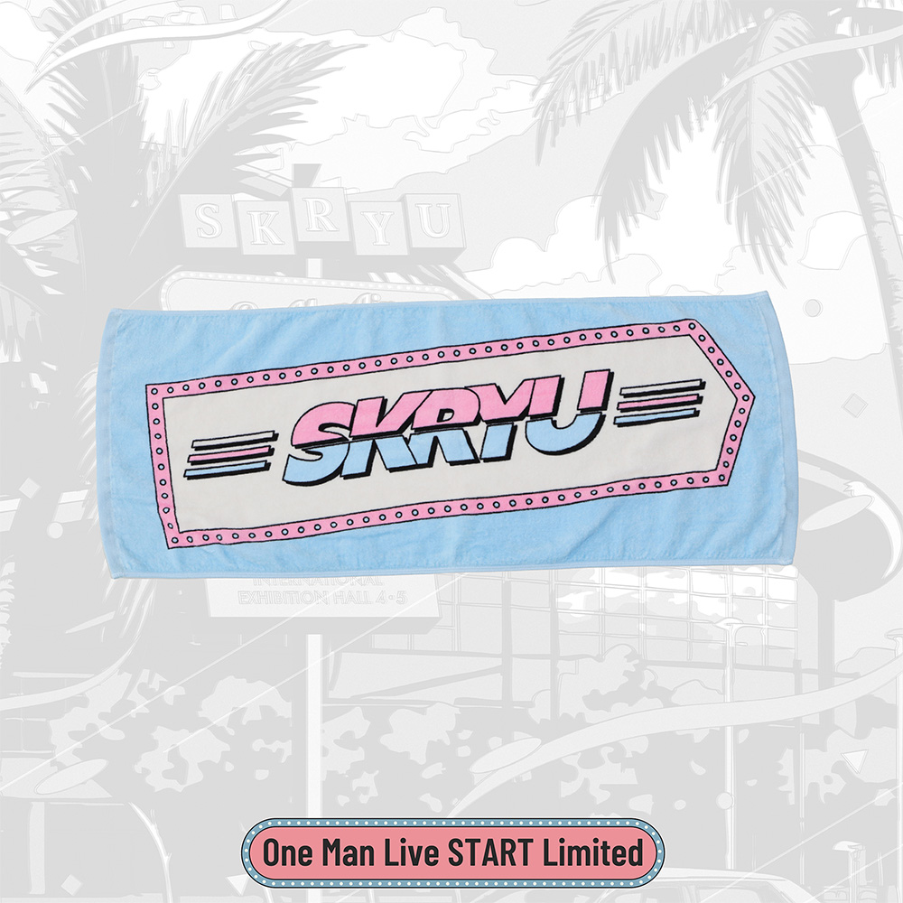 SKRYU All In One グッズまとめ売り