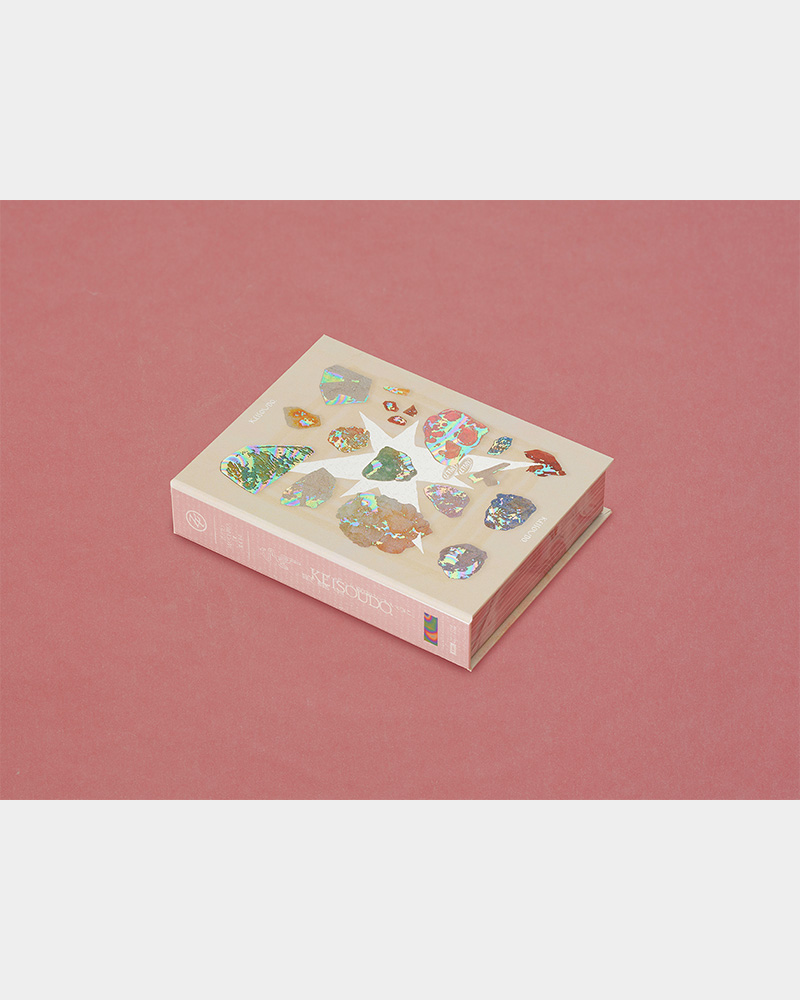 Mauryaさん専用 形藻土【初回限定魔導書盤】 - ZUTOMAYO MART