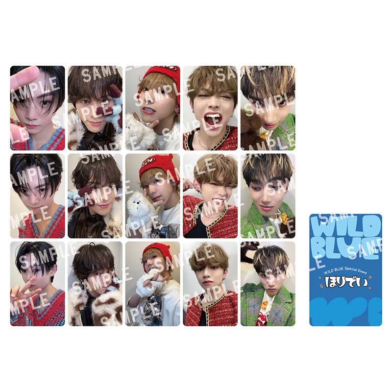 WILD BLUE OFFICIAL STORE