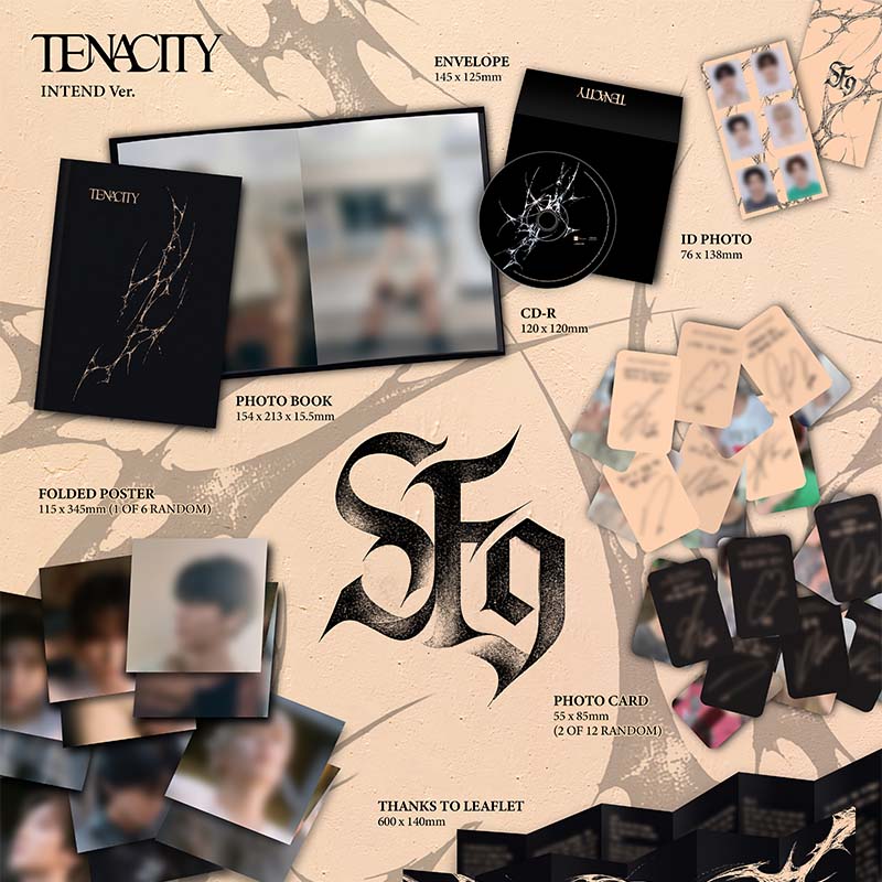1部 オンライン個別トーク会参加権付き】SF9 2nd Album [TENACITY] 2枚
